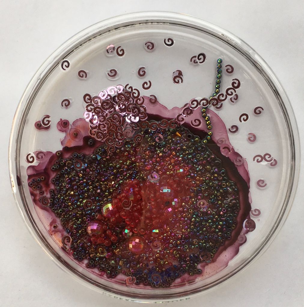 Pilar Pedroza. Conteo Bacteriano 2. 
