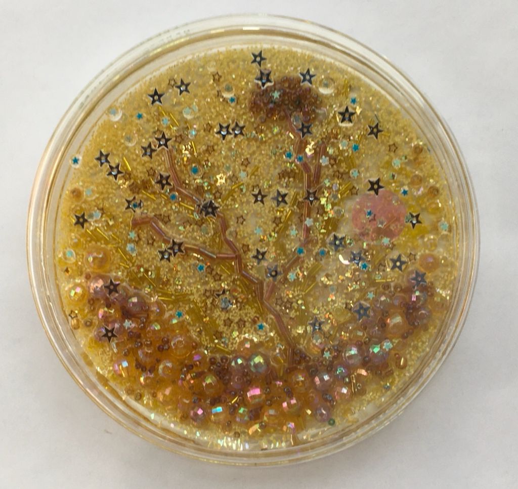 Pilar Pedroza. Microflora.