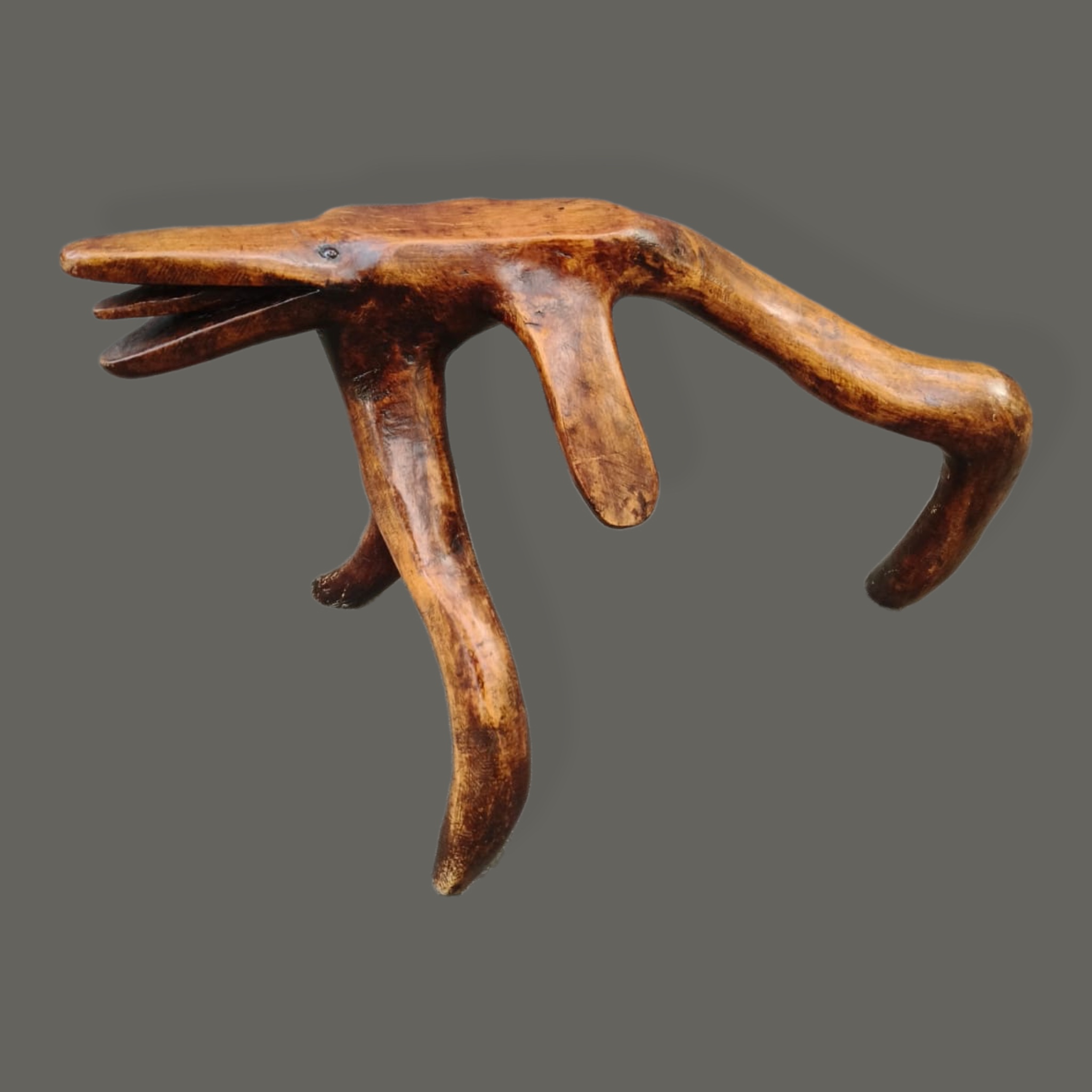 Banco con forma de perro en madera tropical