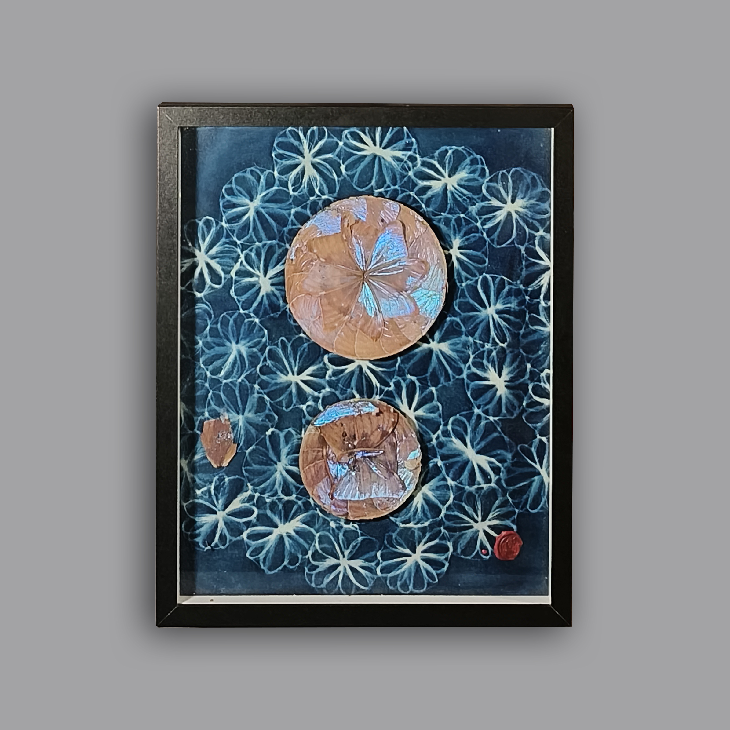 Gabriela Montesinos. Flores. Collage sobre cianotipia